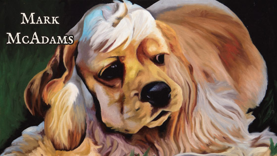 What is Wrong With My Painting - Mark McAdams
